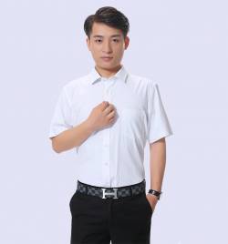 夏季新款商务男式衬衣 企业白领职业装 短袖衬衫厂家批发